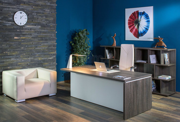 Кабинет руководителя Terra