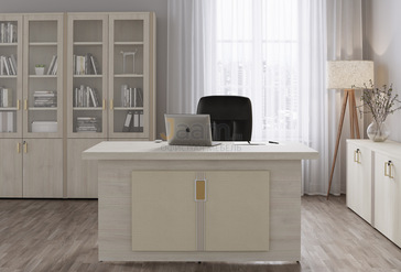 Кабинет руководителя Chicago