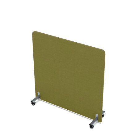 011.MP.1212_kiwi.jpg